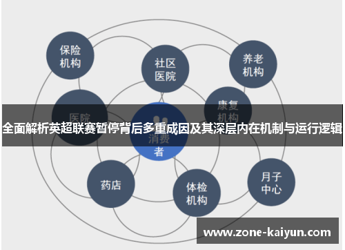 全面解析英超联赛暂停背后多重成因及其深层内在机制与运行逻辑