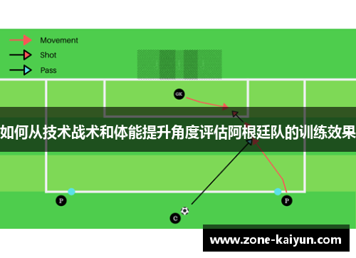 如何从技术战术和体能提升角度评估阿根廷队的训练效果