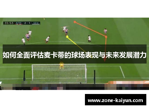 如何全面评估麦卡蒂的球场表现与未来发展潜力